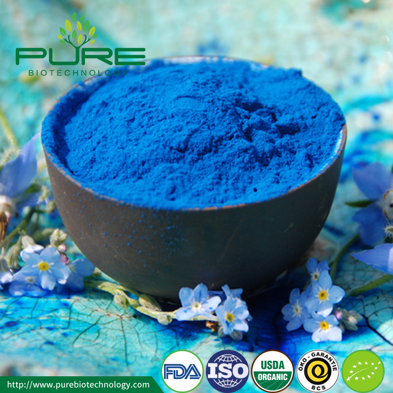 Blaues Spirulina-Extrakt-Pulver