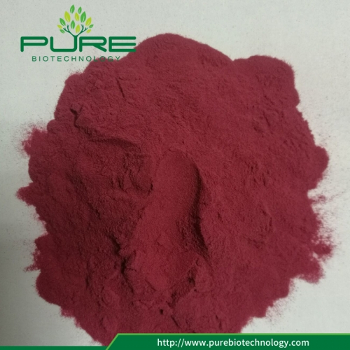 10: 1 Cranberry-Extrakt-Pulver ohne Bestrahlung